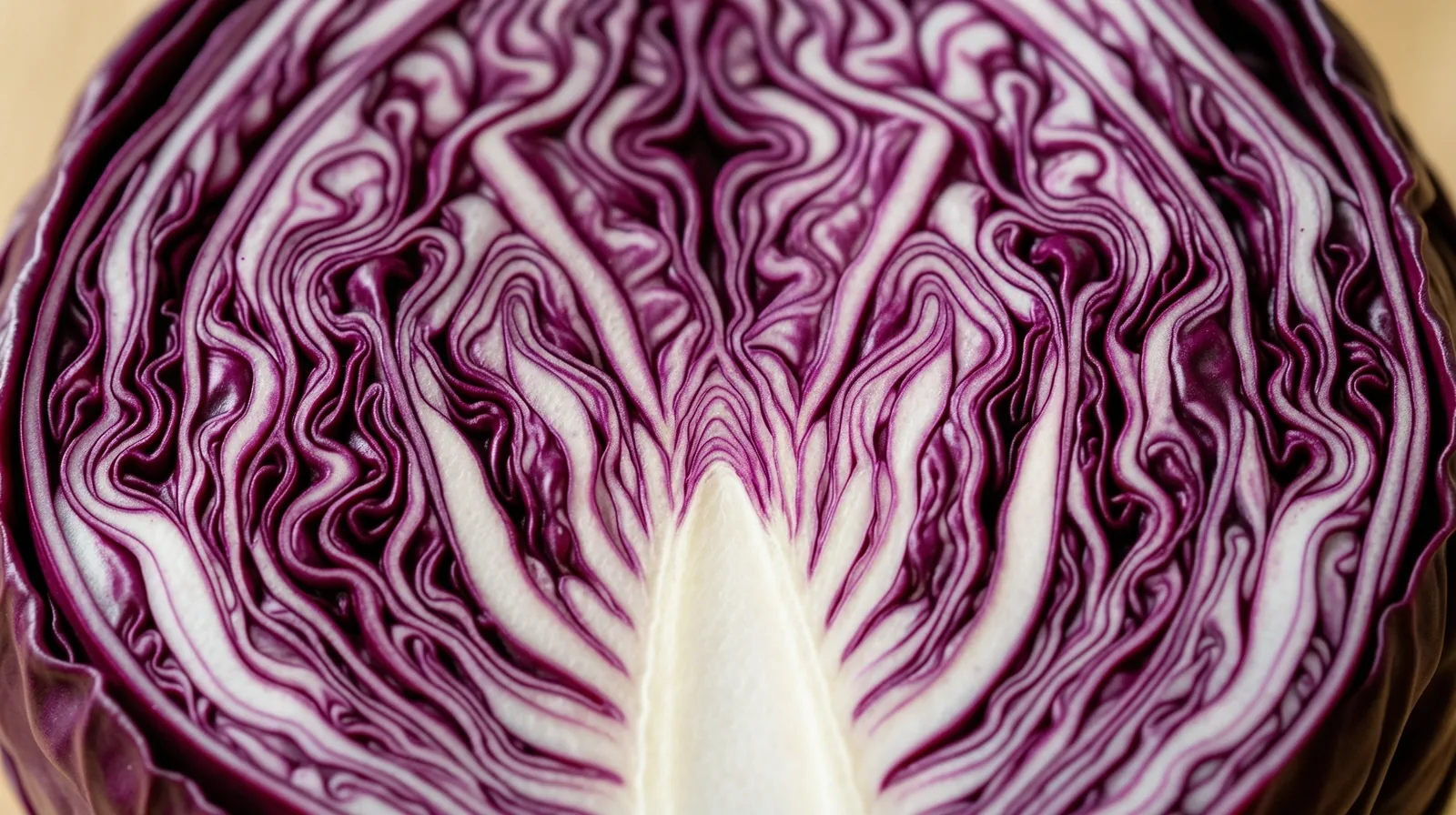 Nutritional architecture macro detail